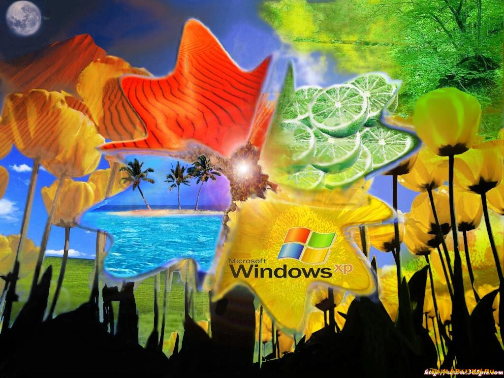 , windows, xp